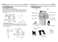 Load image into Gallery viewer, YC-81C microcomputer therapy apparatus quick result theraputic electrical stimulation acupuncture device English instruction-Great Rehab Medical
